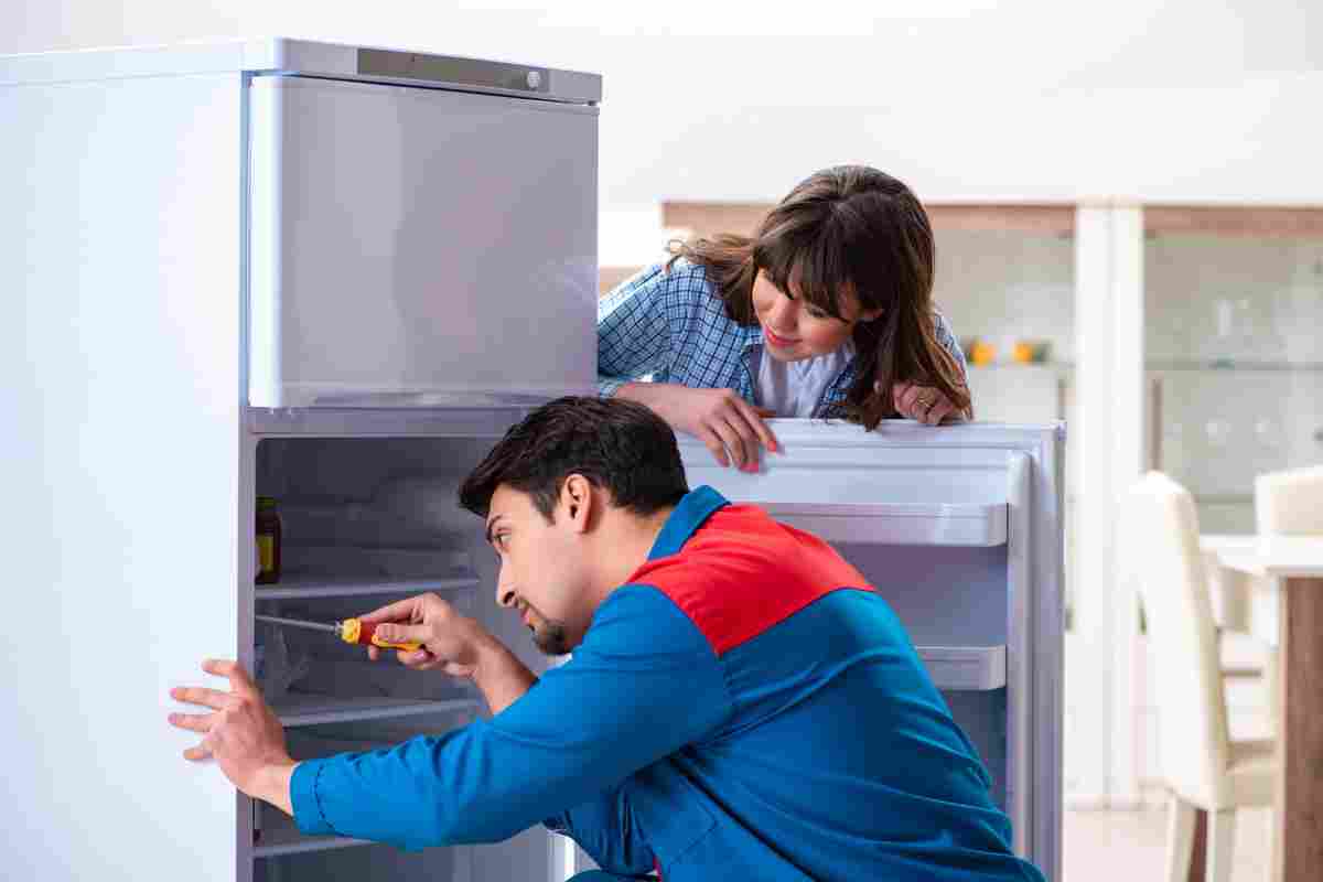 Что делать, если холодильник плохо охлаждает? Каковы причины?